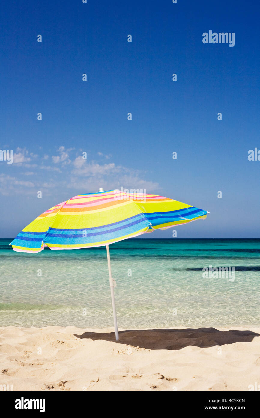 What Is Umbrella Term In Spanish at James Pyle blog