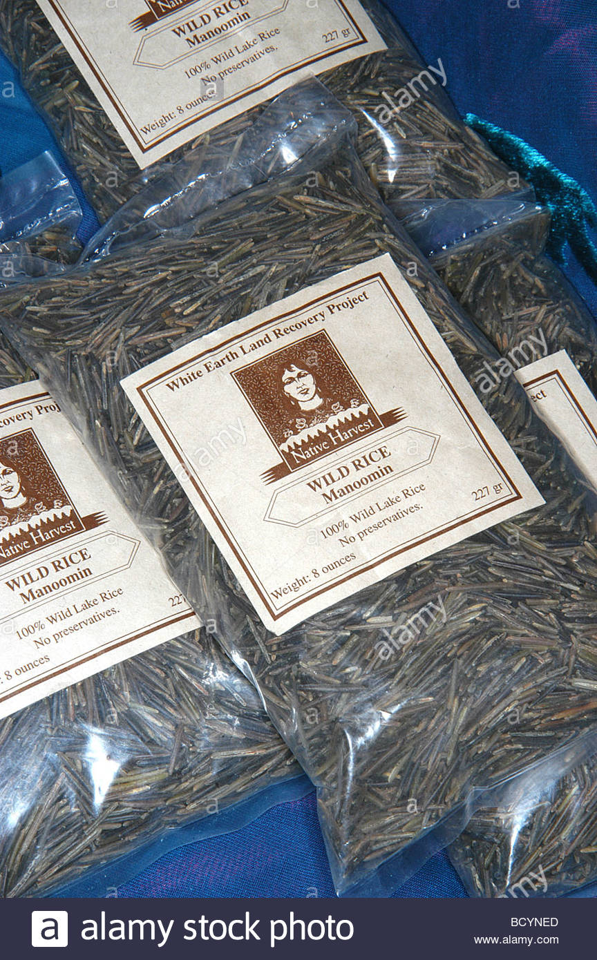 Ojibwe Wild Rice From The Great Lakes High Resolution Stock Photography