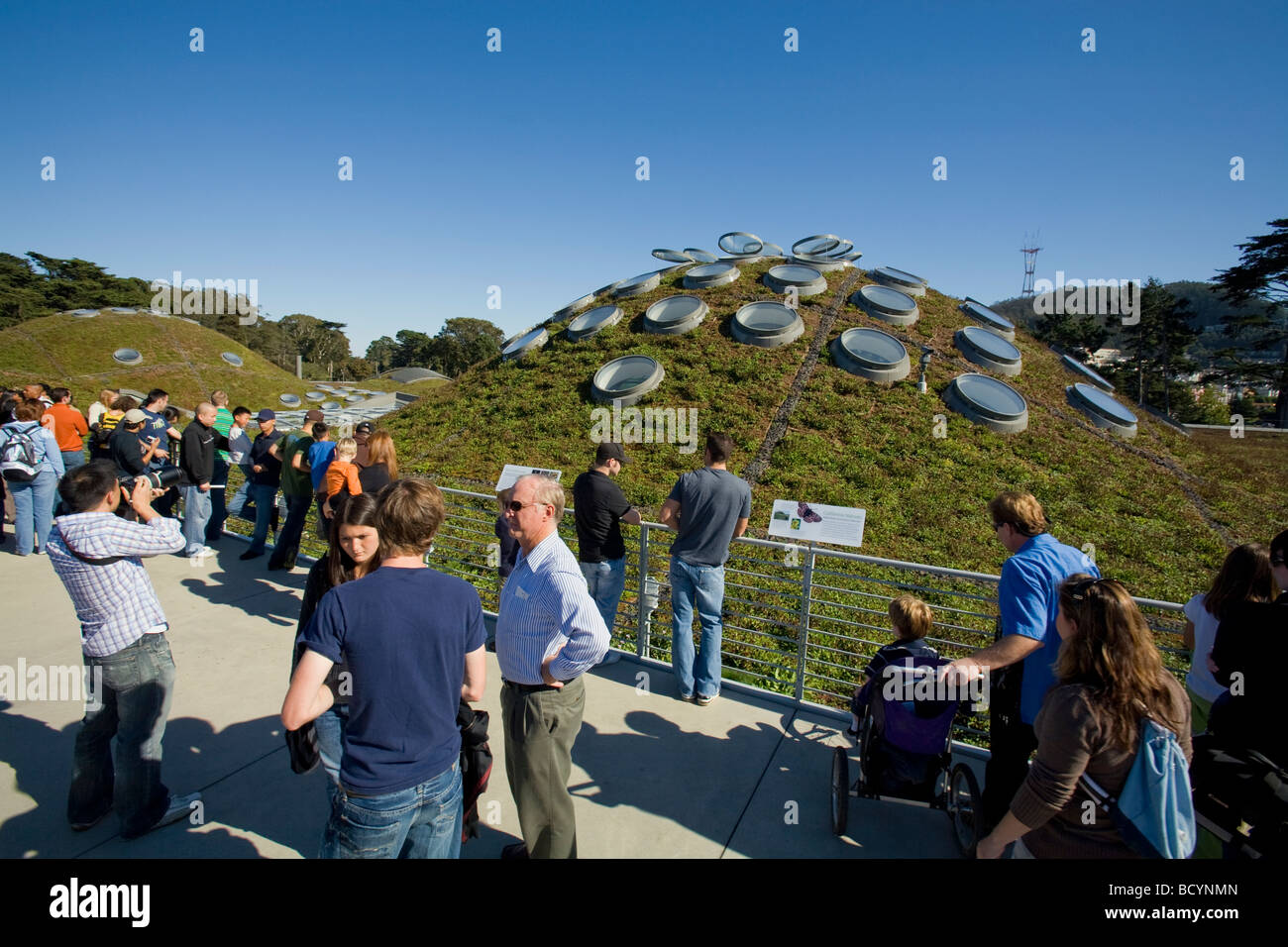 The Living Roof, California Academy of Sciences, Golden Gate park, San Francisco, California