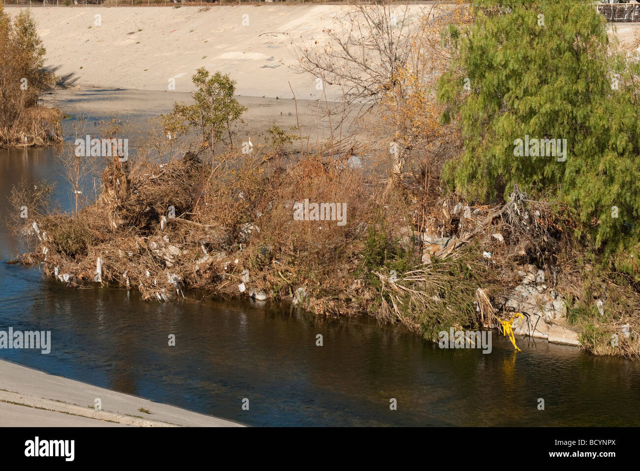 Plastic Bags caught in trees after run off in Los Angeles River