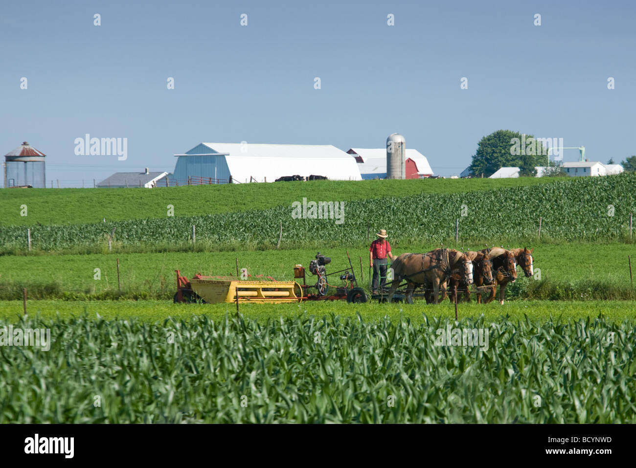 Amish farmer plowing field with team of horses near Shipshewana Indiana Stock Photo