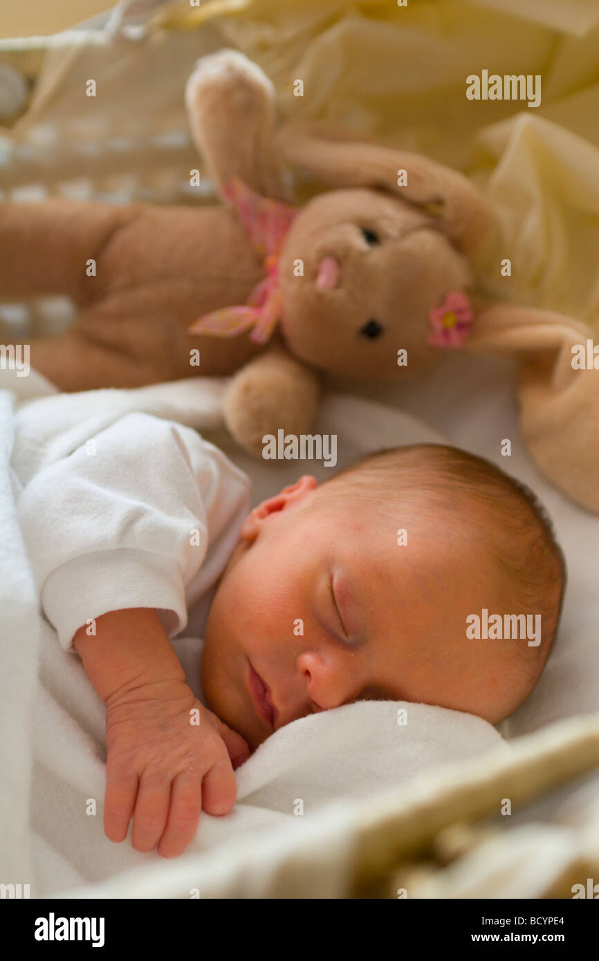 Baby moses basket hires stock photography and images Alamy