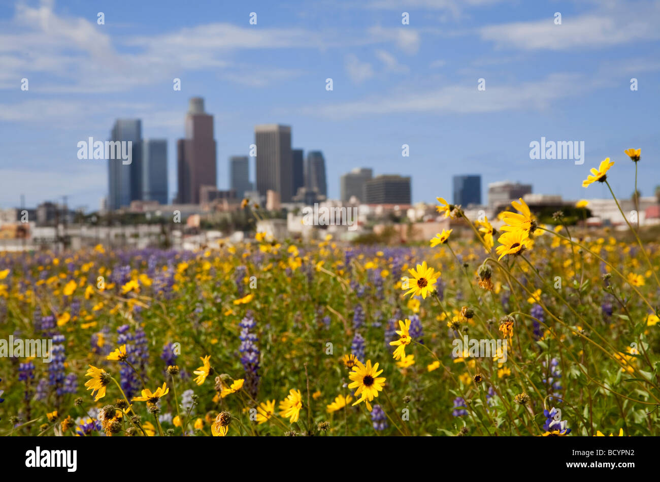 los-angeles-skyline-from-los-angeles-state-historic-park-field-of