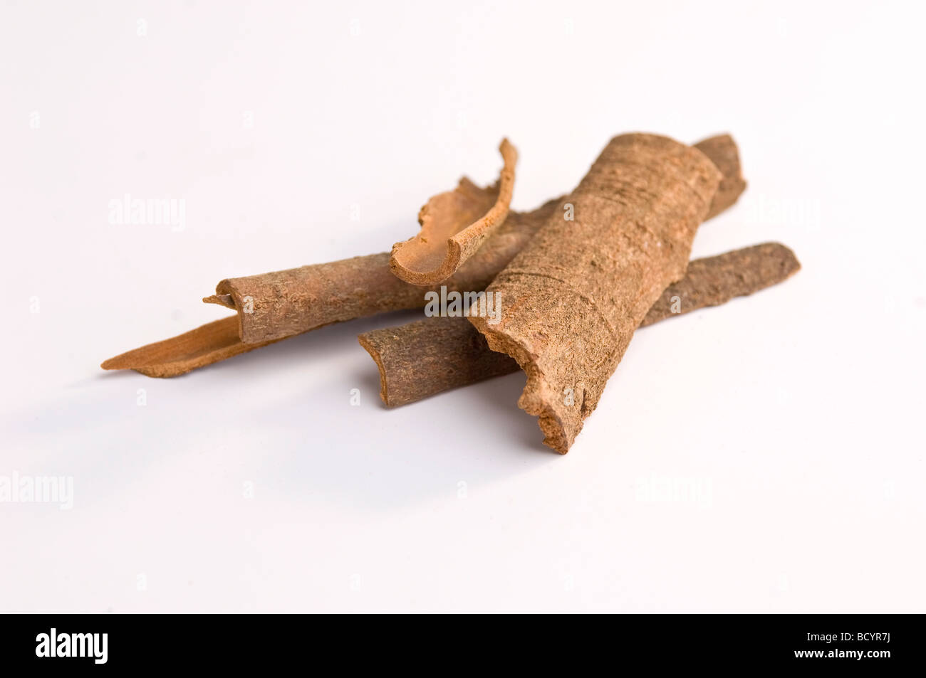 Cassia bark on a white background Stock Photo Alamy