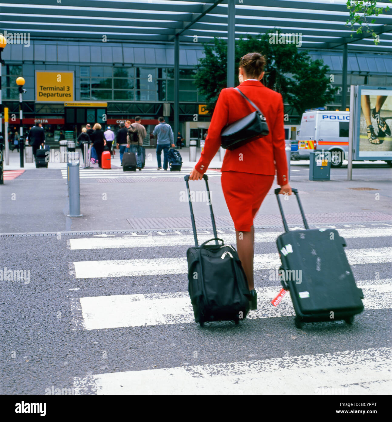 Rear back view of an air hostess  woman with luggage on a crosswalk walking to Terminal 3 entrance at Heathrow airport London England  KATHY DEWITT Stock Photo