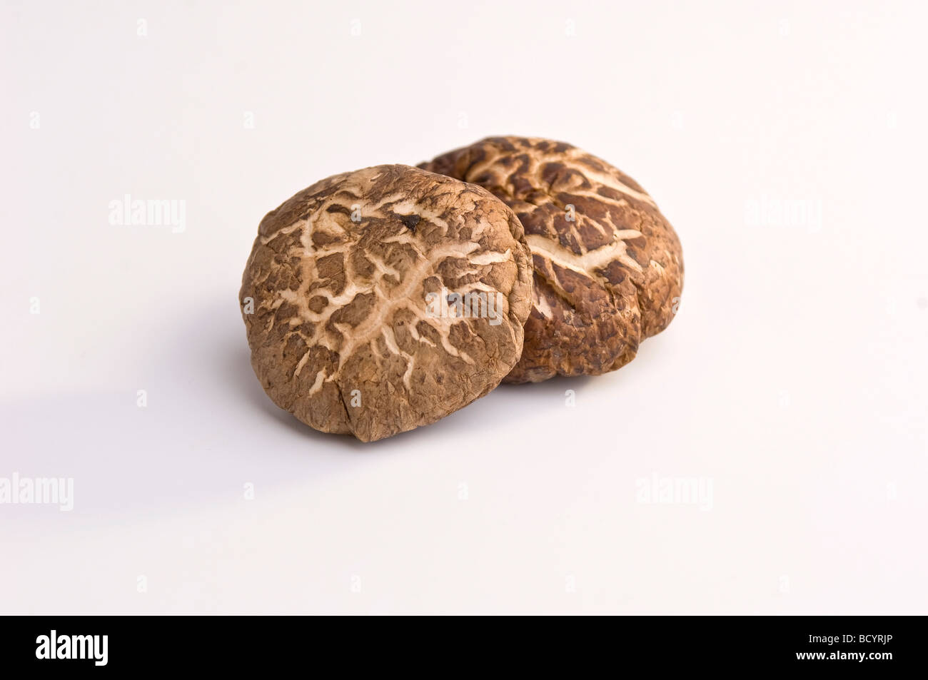 dried Chinese mushrooms on a white background Stock Photo