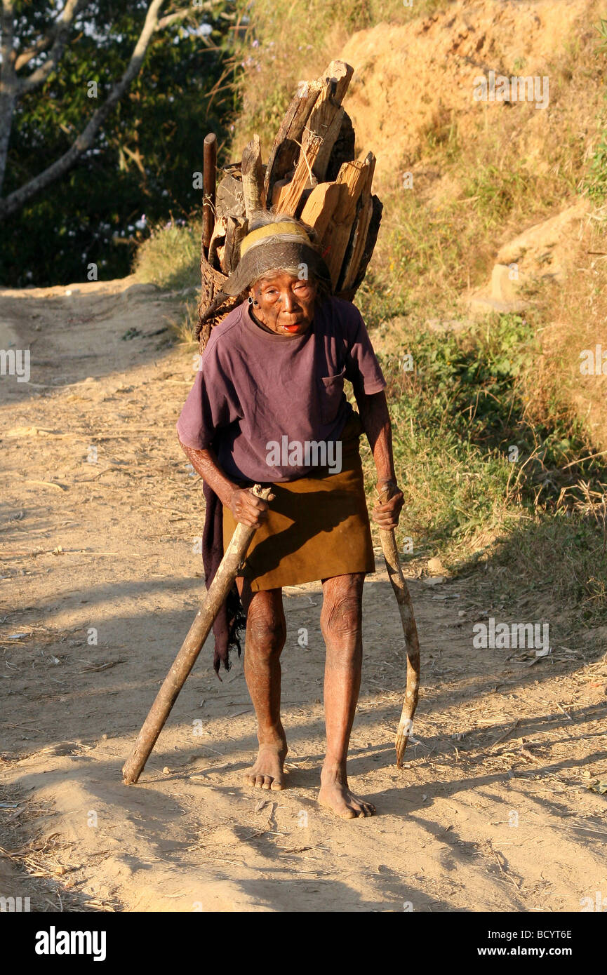 Elderly Konyak Naga Tribe Woman Carrying Firewood Stock Photo