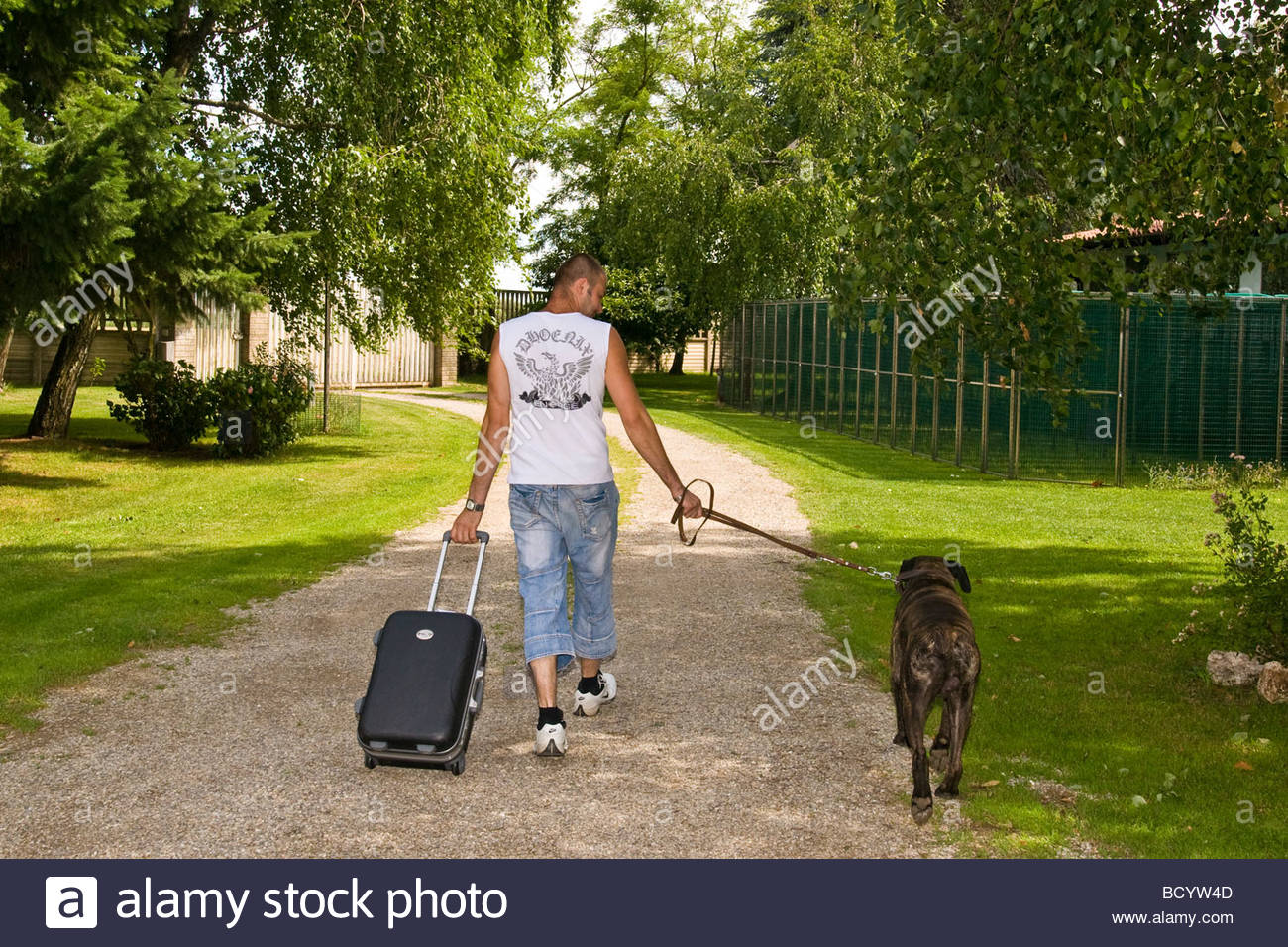 Dog And Cat Boarding High Resolution Stock Photography and Images Alamy