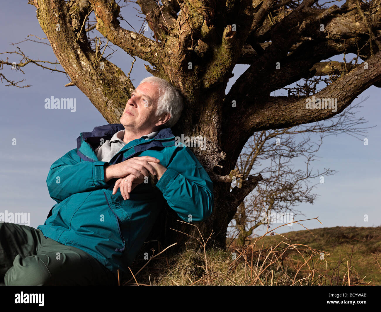 mature man leaning against tree Stock Photo - Alamy