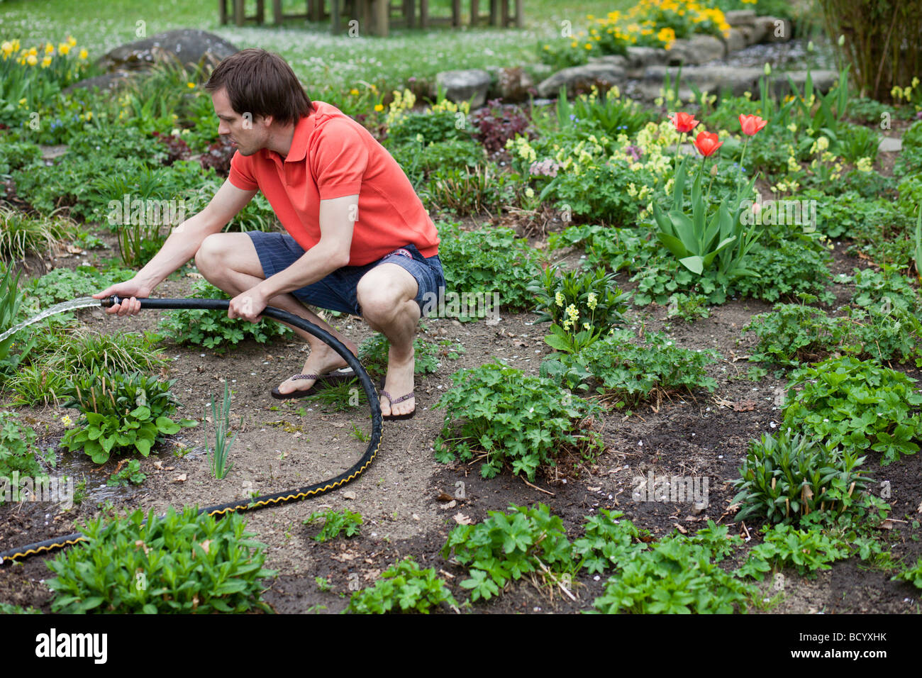 man watering plants with hose Stock Photo Alamy