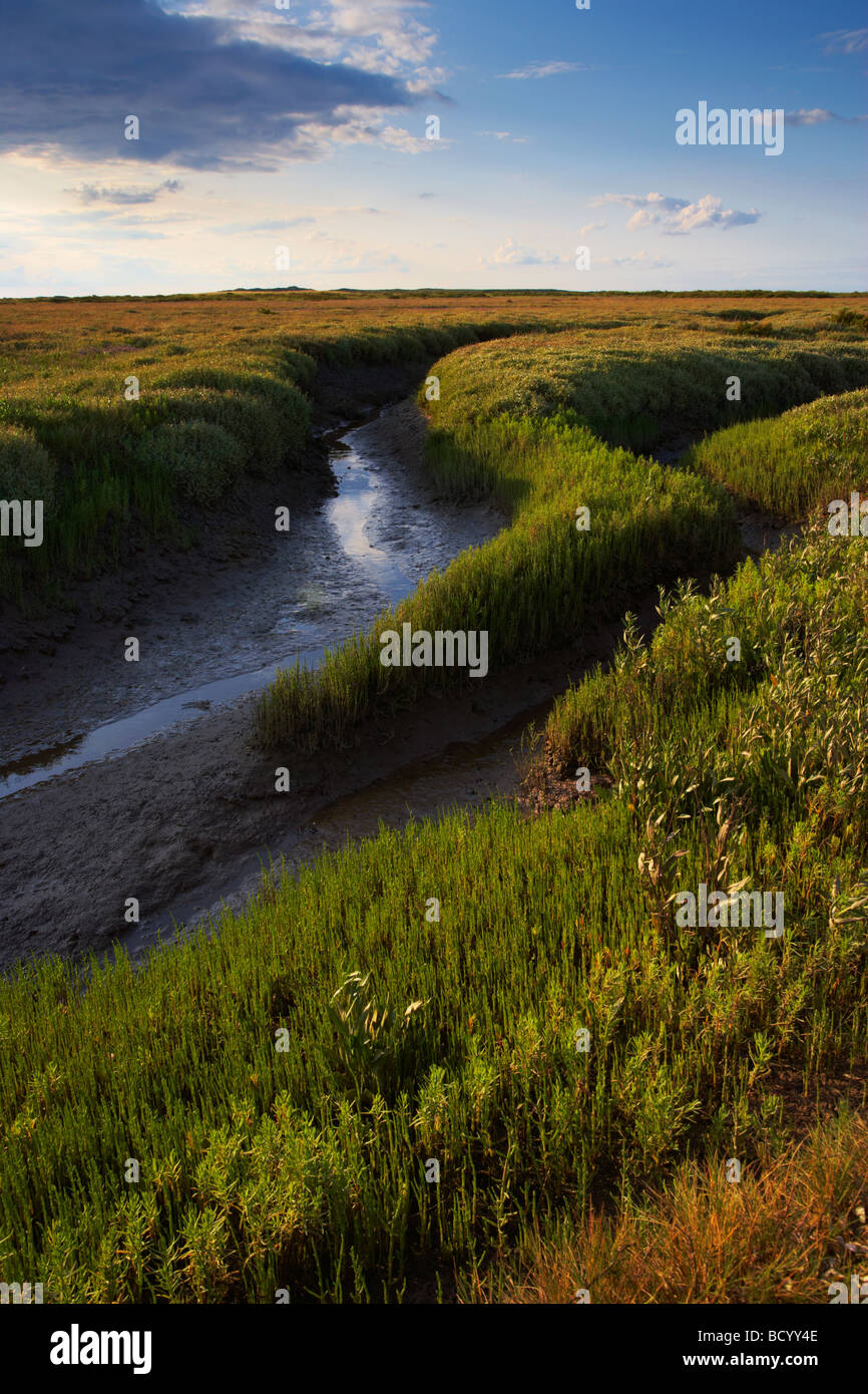 The Saltmarshes near Burnham Deepdale looking toward Scolt Head island Nature Reserve on the North Norfolk Coast Stock Photo