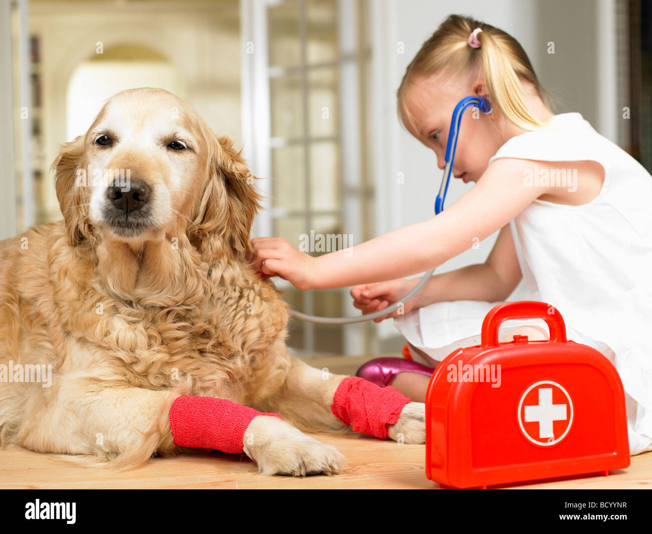 Girl playing doctor with dog Stock Photo