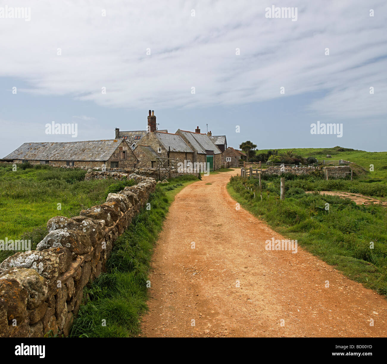 A dirt track leading to a small farm cottage in Niton, Isle of Wight Stock Photo