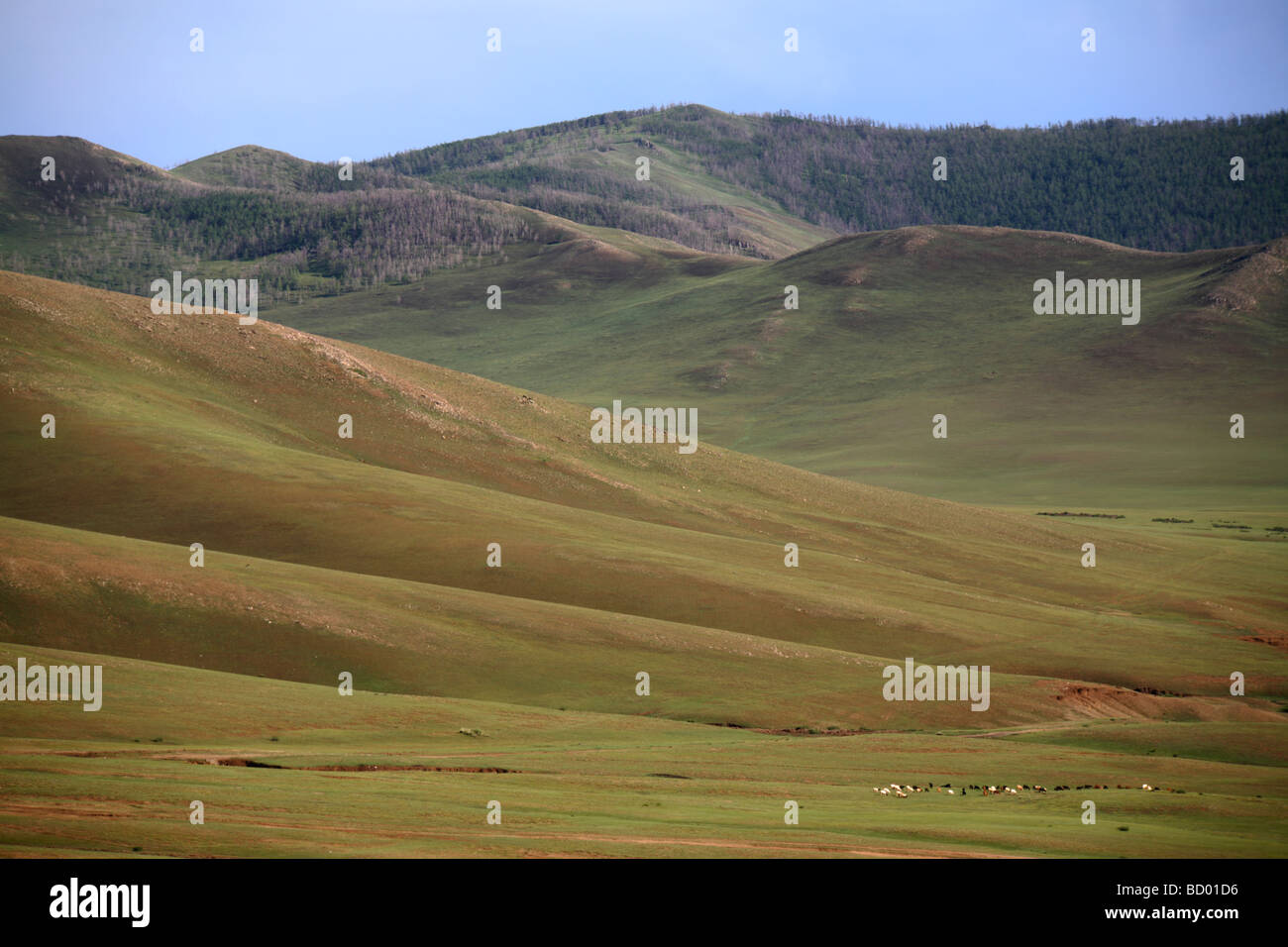 Landscape of Orkhon Valley, Mongolia Stock Photo - Alamy