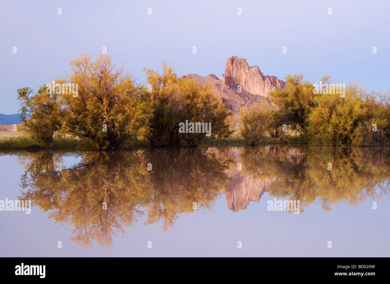 Rocks reflecting in pond with Salt Cedars at sunrise Shiprock Navajo Indian Reserve New Mexico USA September 2006 Stock Photo