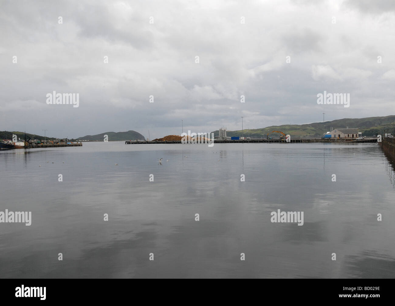 Quayside view of Campbeltown in Kintyre Scotland showing pile of logs ready for shipping out