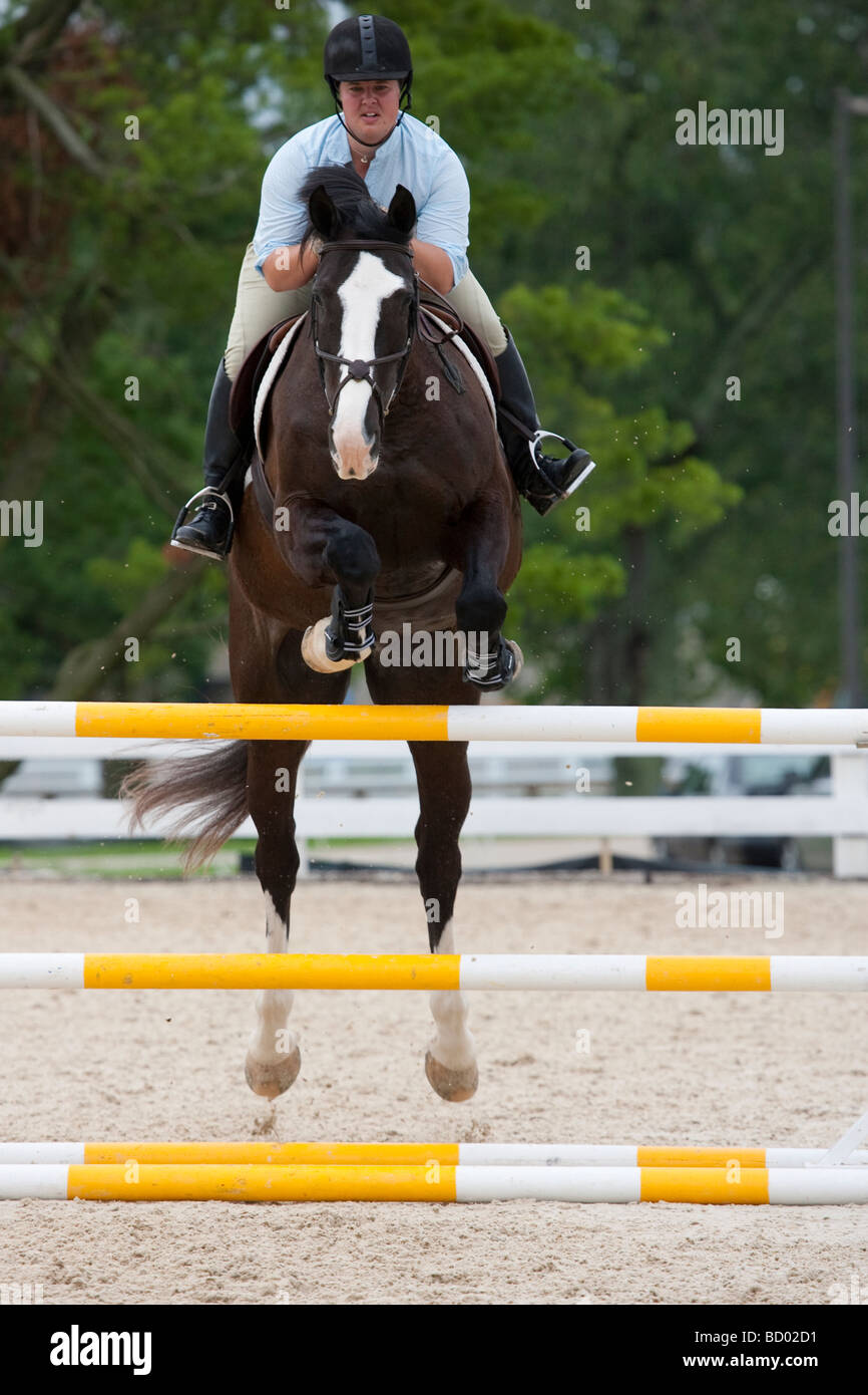 A horse and rider jumping a fence during a horse show Stock Photo - Alamy