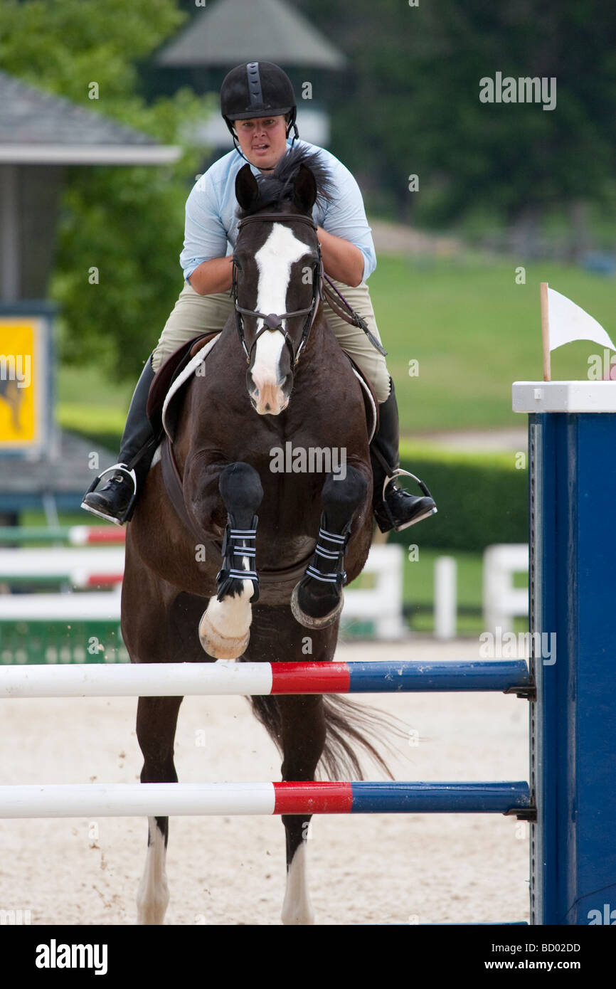 A horse and rider jumping a fence during a horse show Stock Photo - Alamy