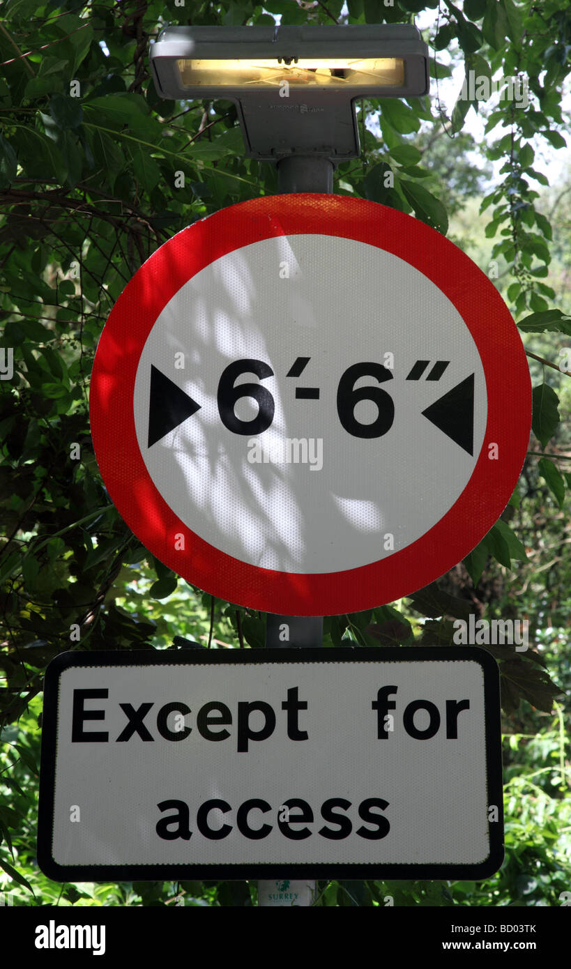 6' 6' Width restriction and Except for Access sign Stock Photo