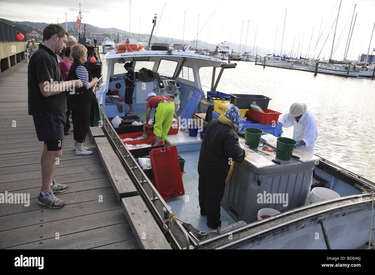 Fishermen filleting fish on back of fishing boat ready for sale, Wellington, New Zealand Stock Photo