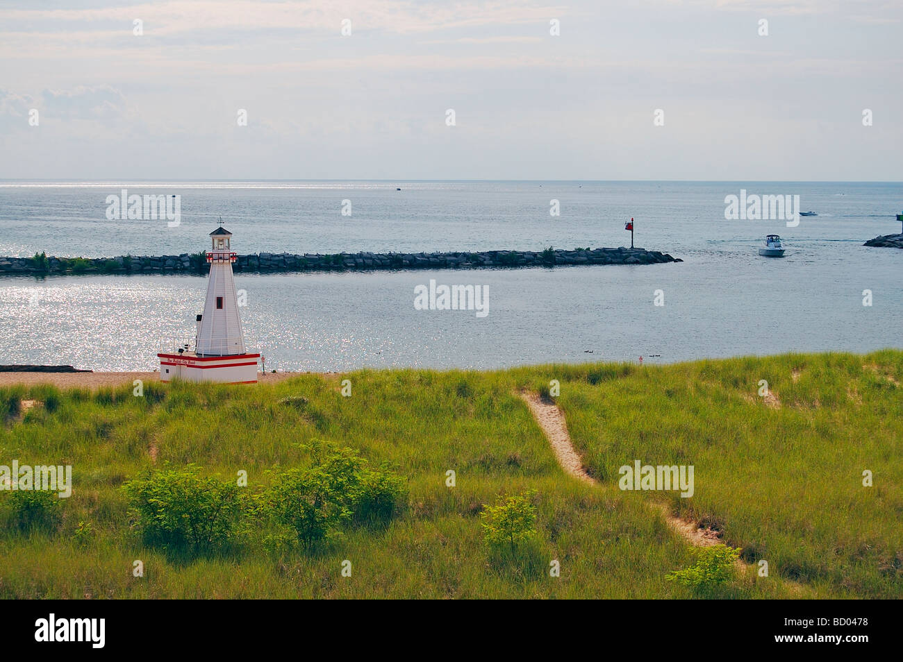 New buffalo hires stock photography and images Alamy