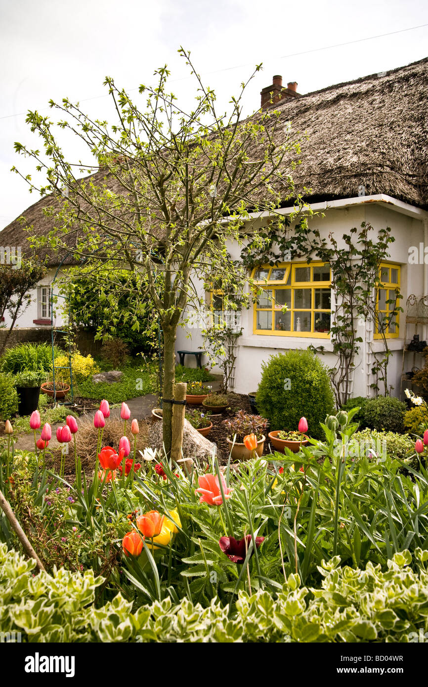 Irish Cottage Garden Stock Photos & Irish Cottage Garden Stock Images