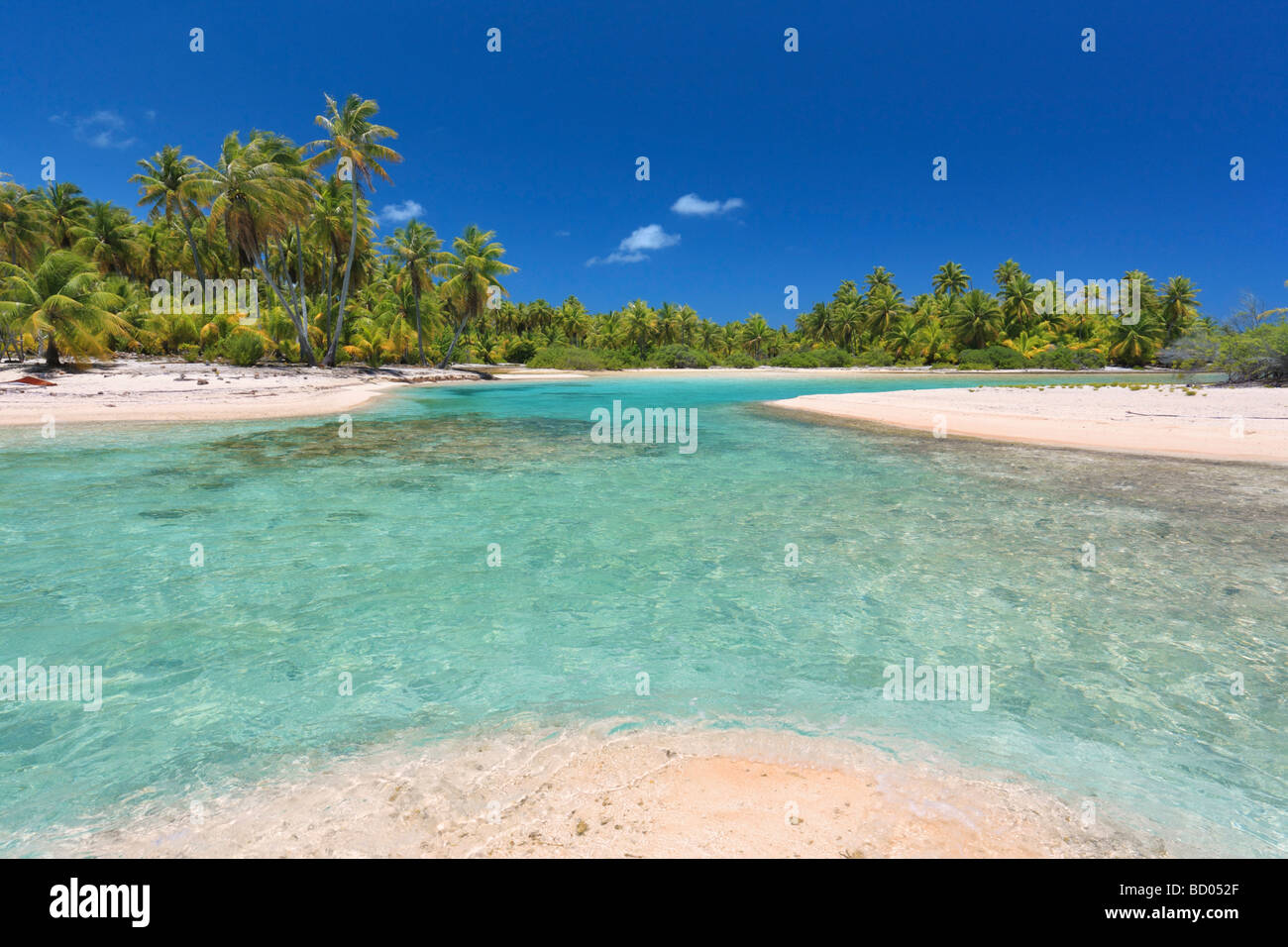 Beach in Rangiroa, Tuamotu Archipelago, French Polynesia Stock Photo