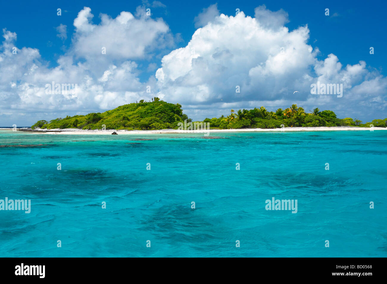 Fakarava, Tuamotu Archipelago, French Polynesia Stock Photo Alamy