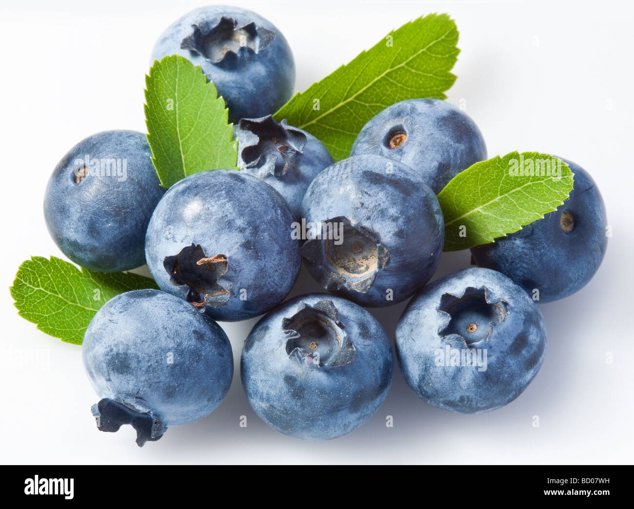 Bilberry on a white background Stock Photo