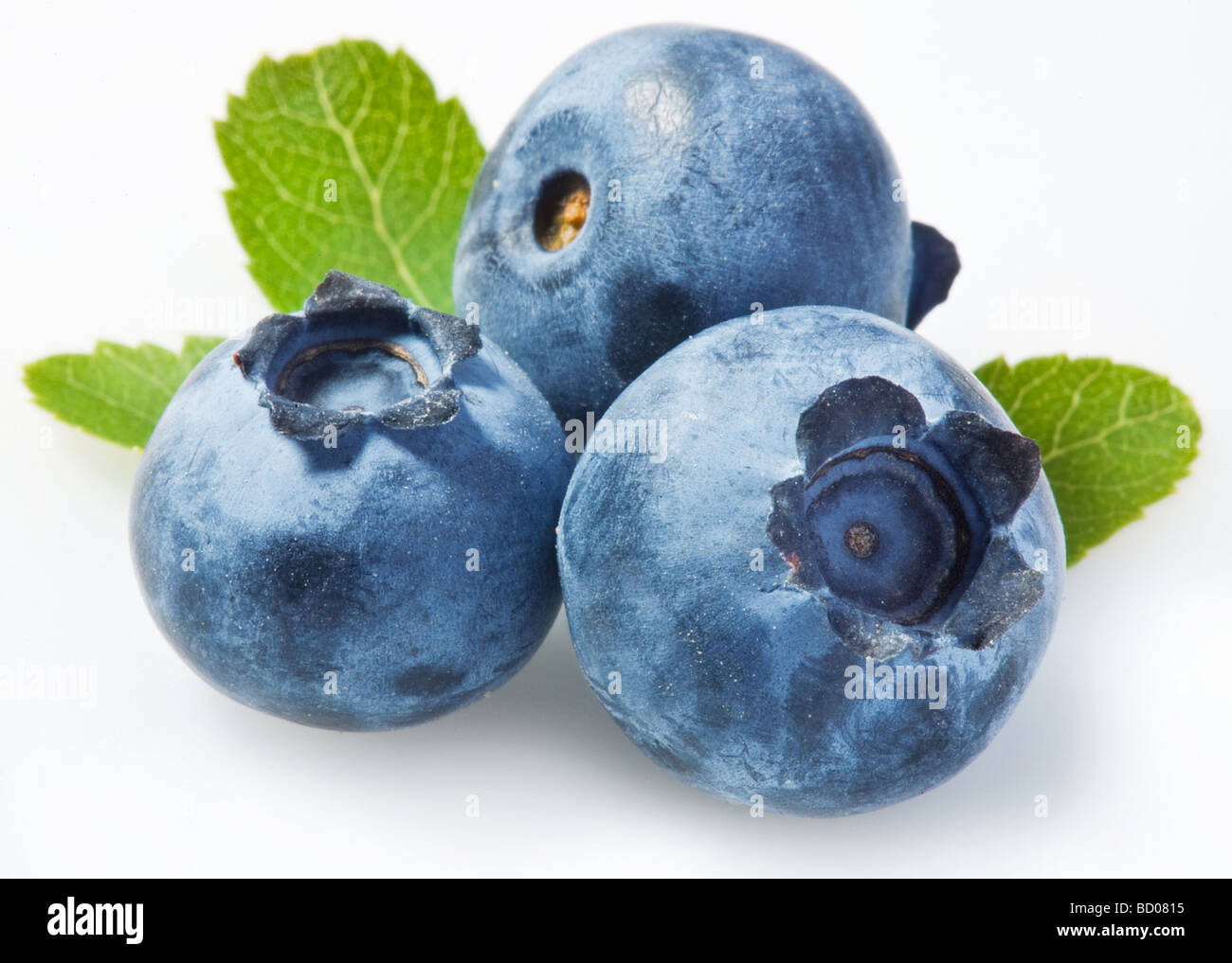 Bilberry on a white background Stock Photo