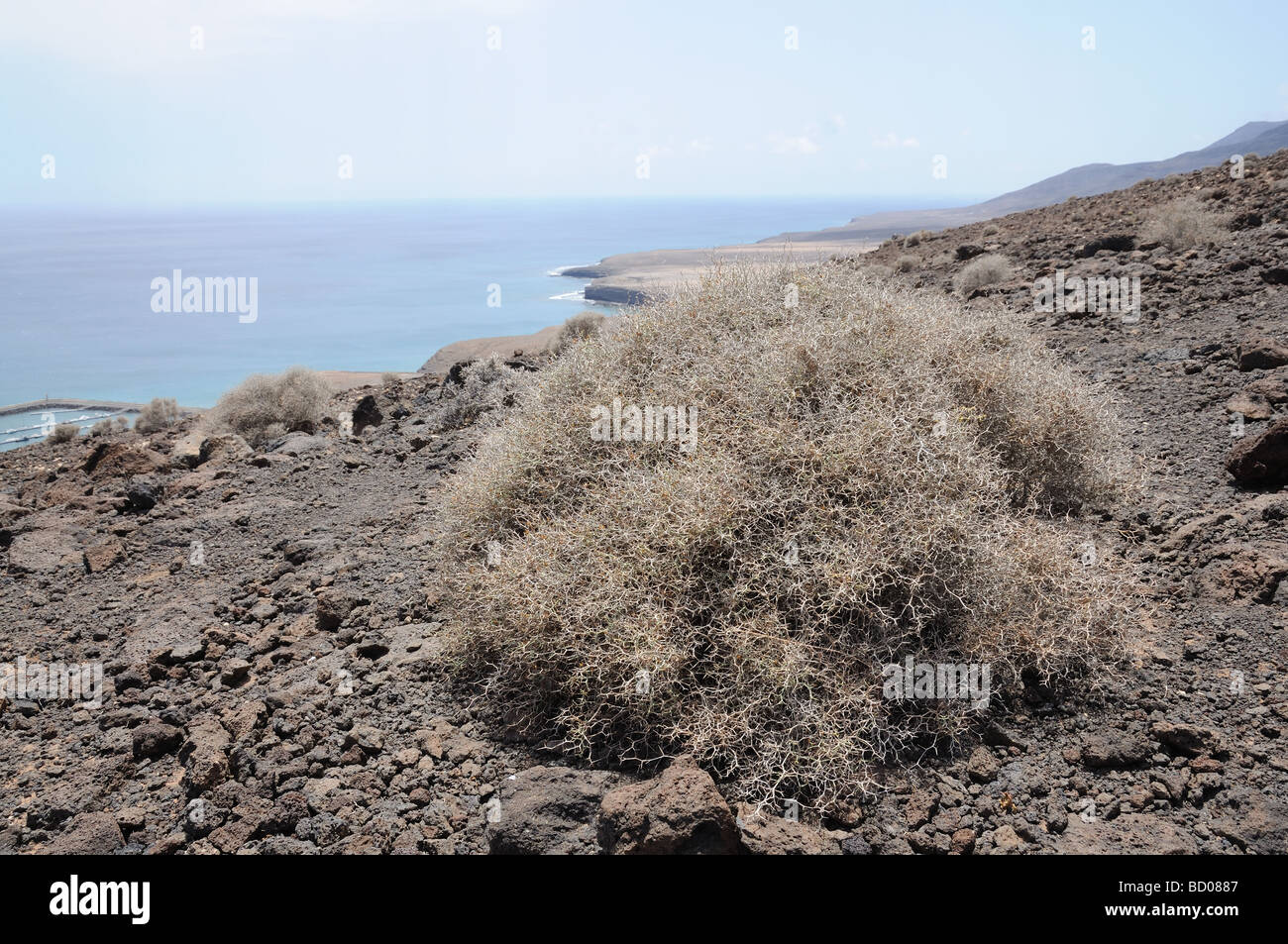 Coast of Canary Island Fuerteventura, Spain Stock Photo