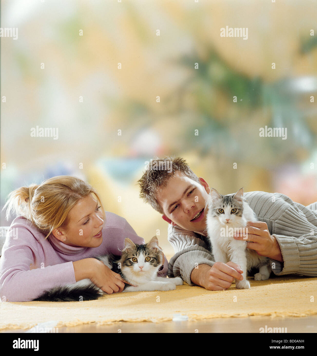 boy and girl with two domestic cats Stock Photo