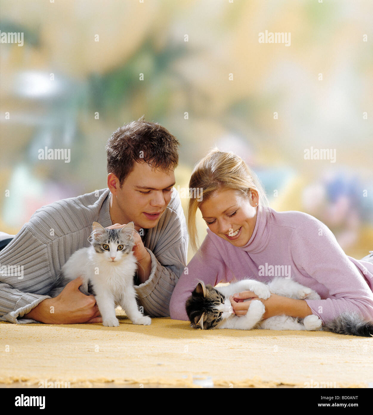boy and girl with two domestic cats on the floor Stock Photo