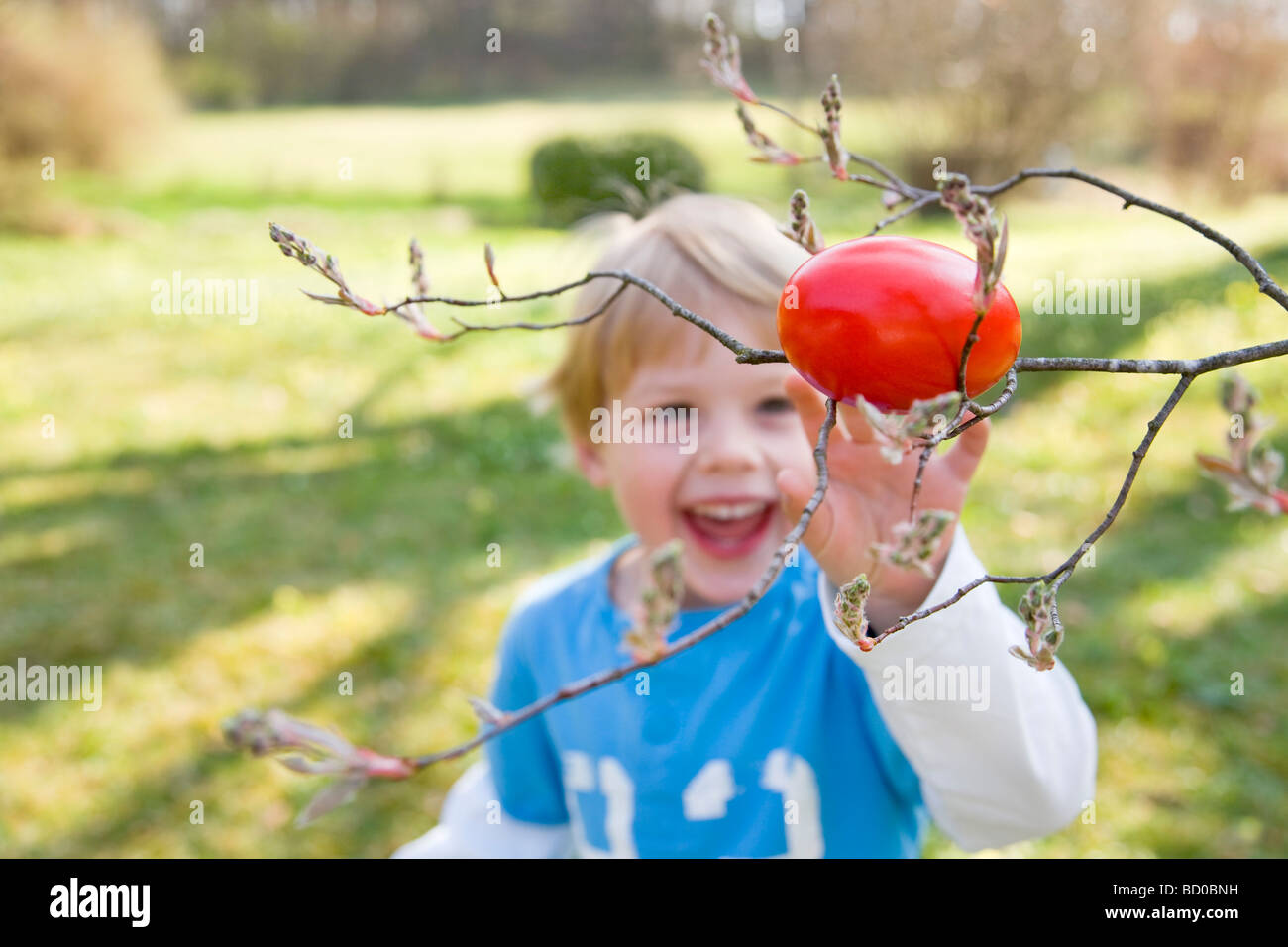easter egg finder