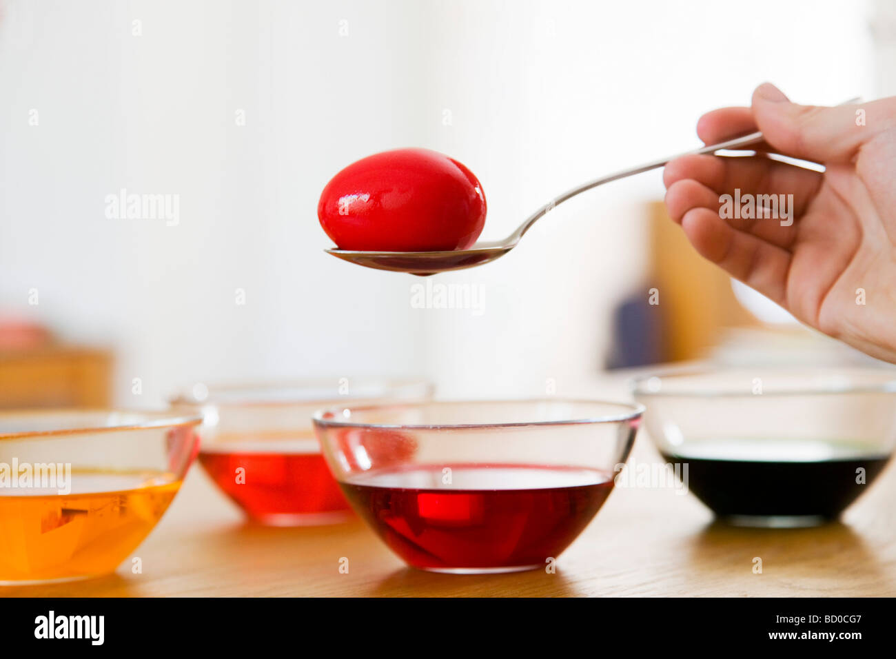 dyeing easter eggs Stock Photo Alamy