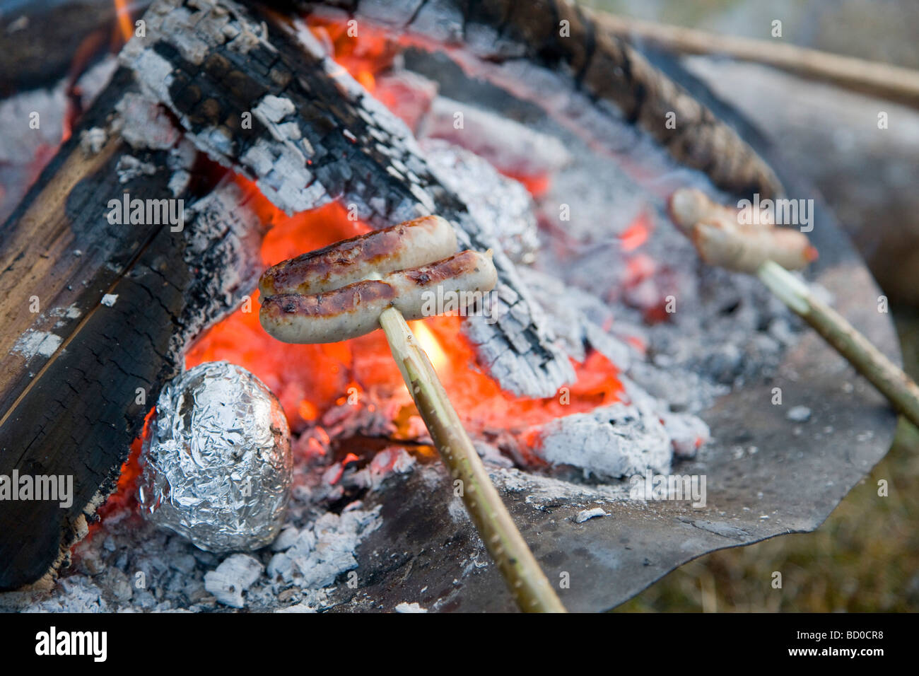 sausages roasting over barbecue fire Stock Photo Alamy