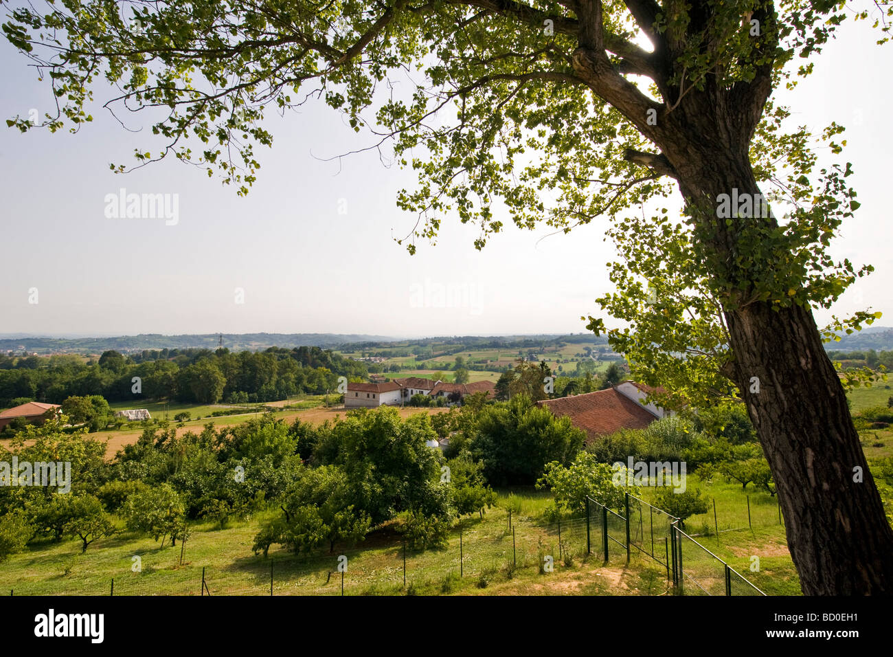 asti landscape from viatosto Stock Photo - Alamy