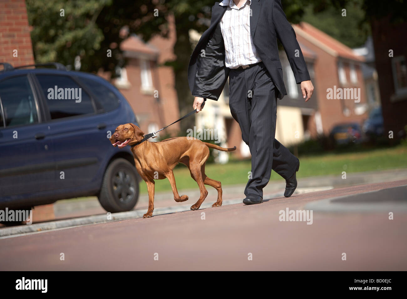 Walks with dog hires stock photography and images Alamy