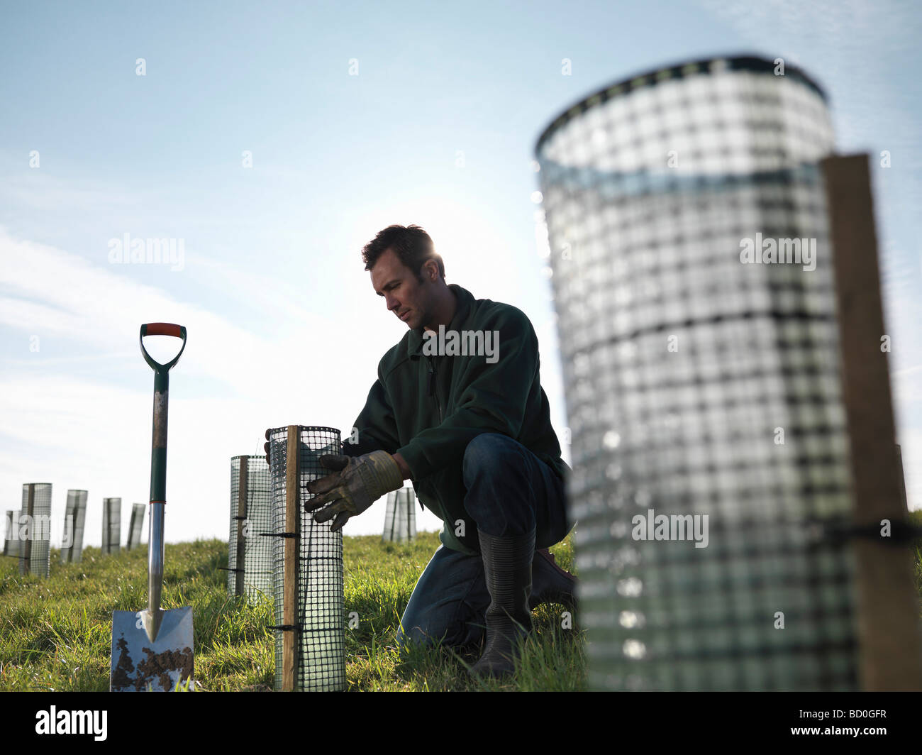 Man Planting Young Trees Stock Photo