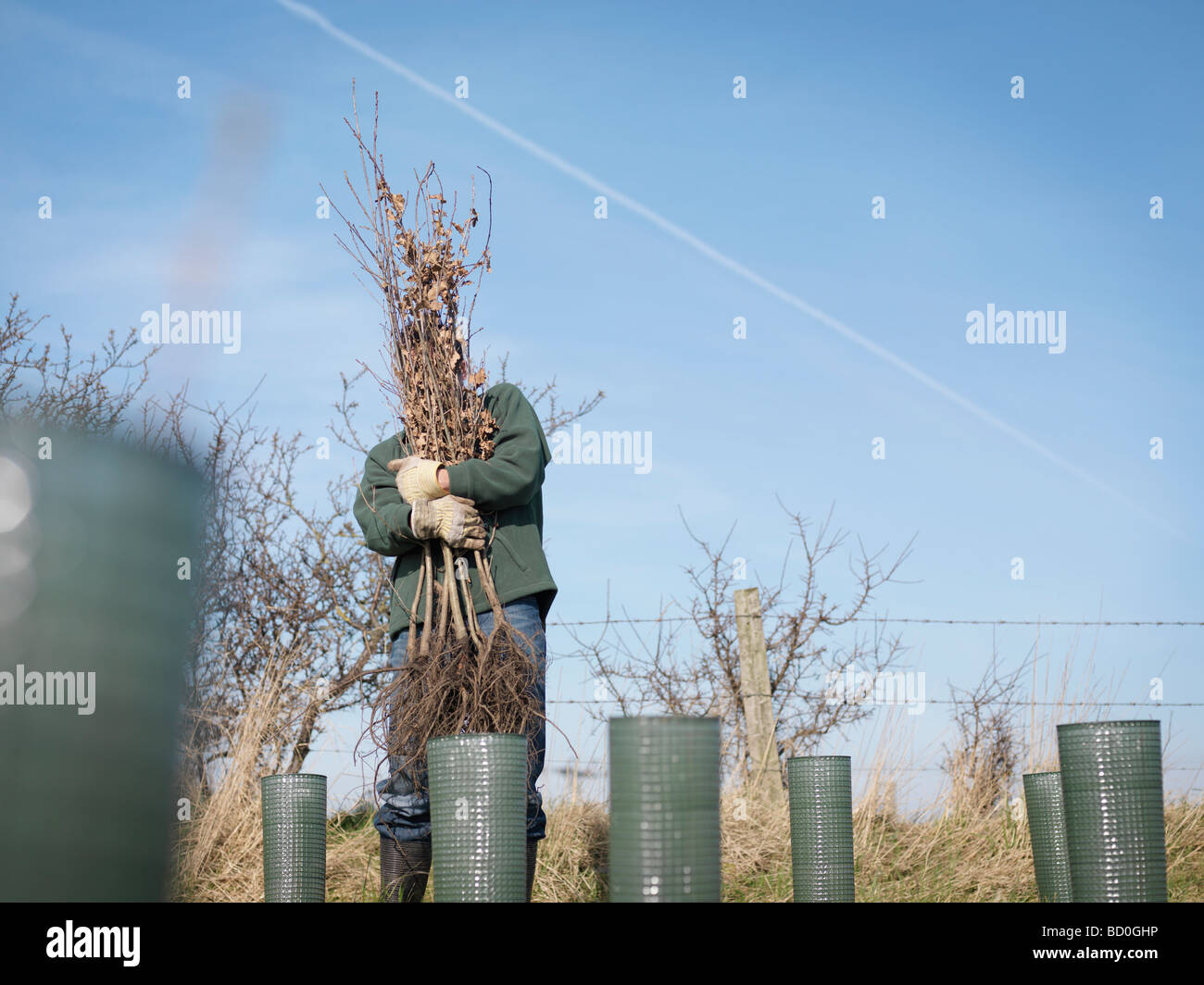 Man Struggling To Hold Trees Stock Photo