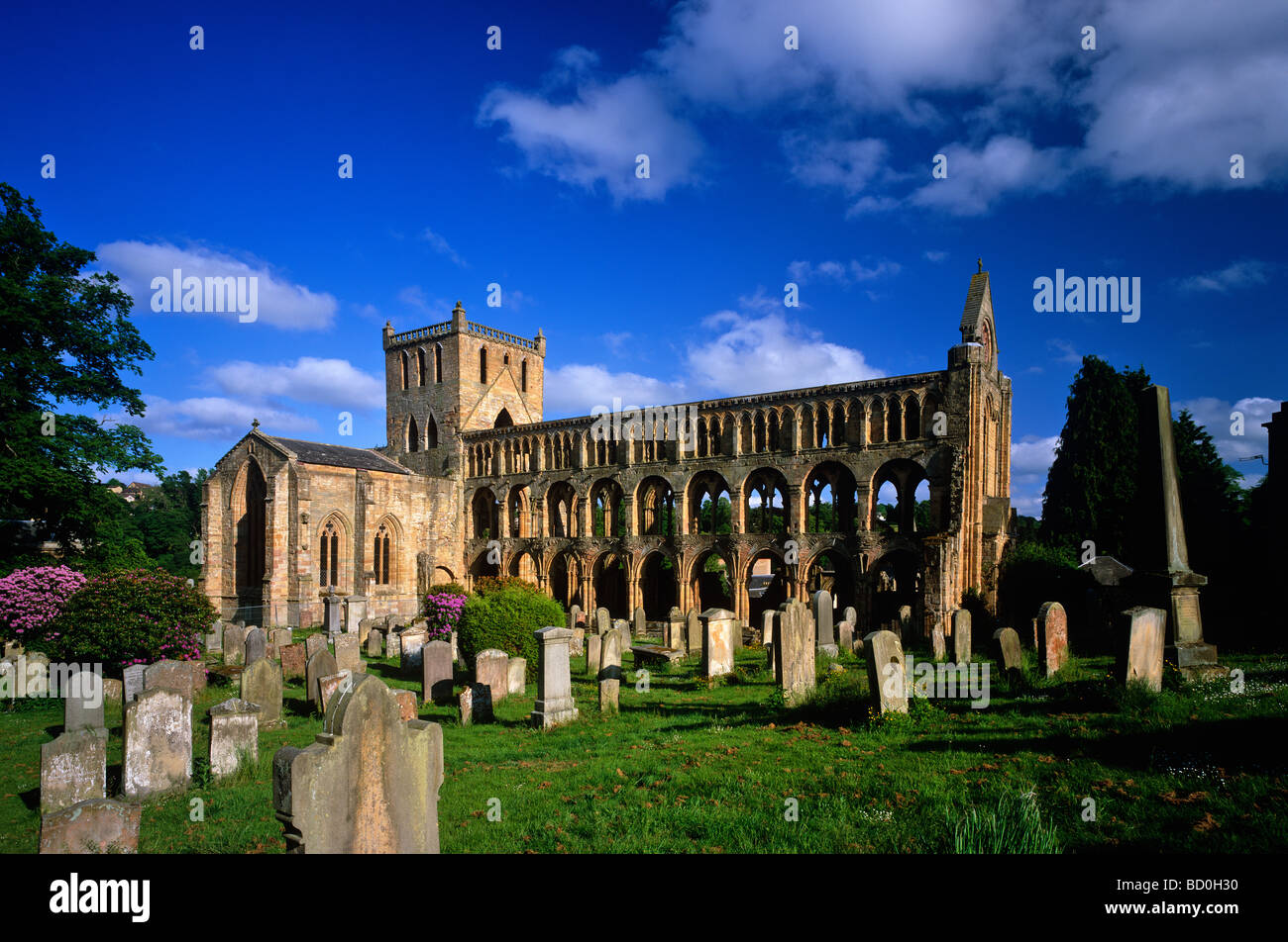 A late summer evening view of Jedburgh Abbey, Jedburgh, Scottish Borders Stock Photo Alamy