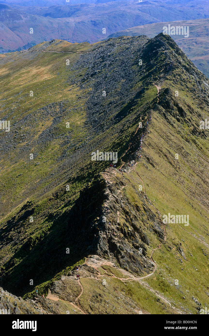 Striding Edge viewed from Hellvyn, Lake District National Park, Cumbria, England, UK Stock Photo