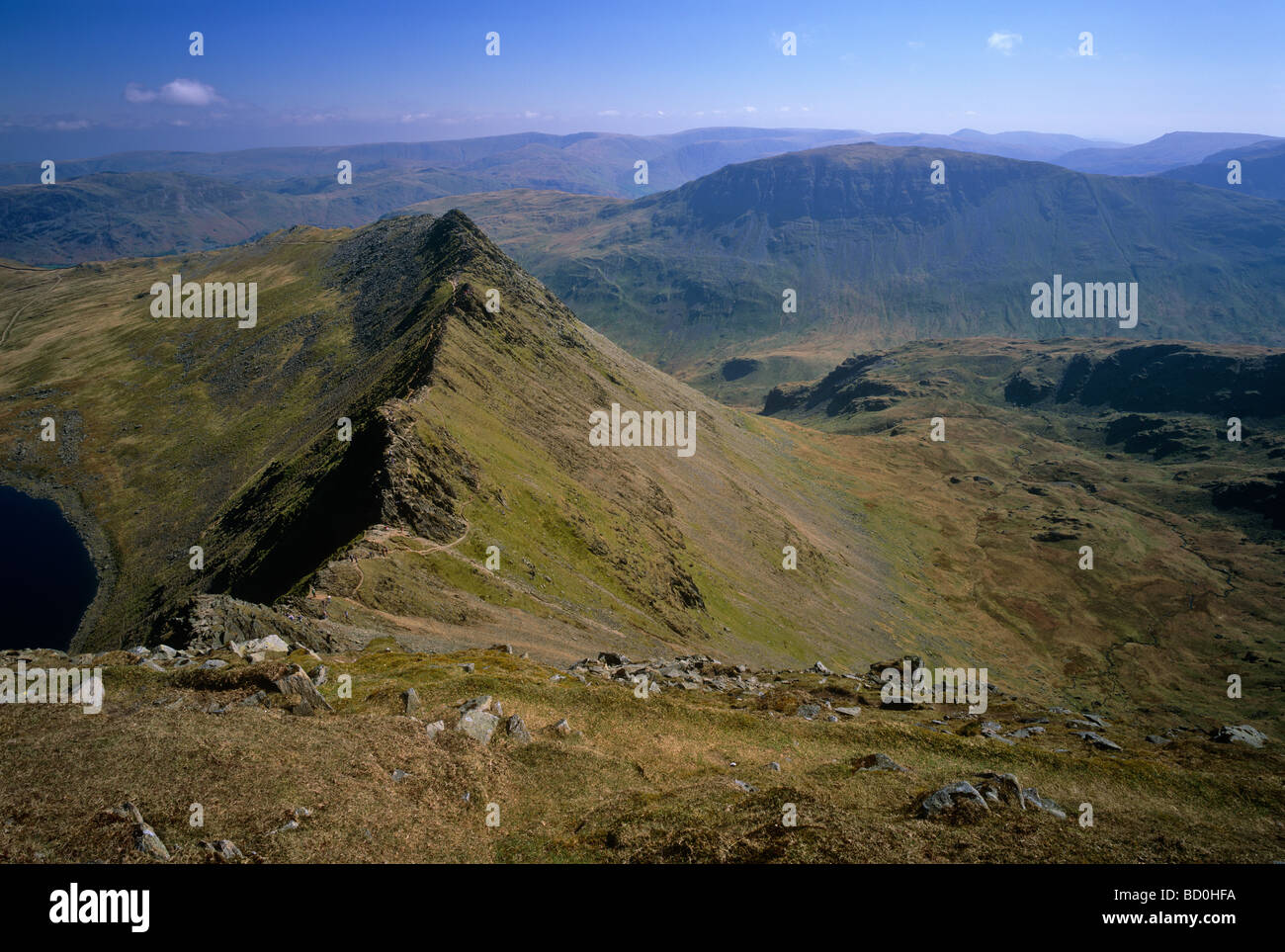 Striding Edge viewed from Hellvyn, Lake District National Park, Cumbria ...