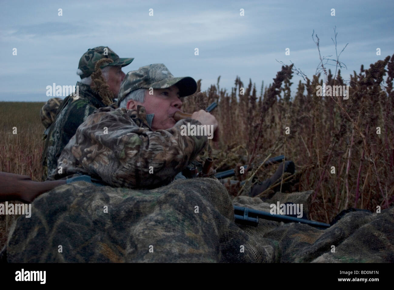 Duck hunting at dawn on a hilltop south east of Minot. Hunter in