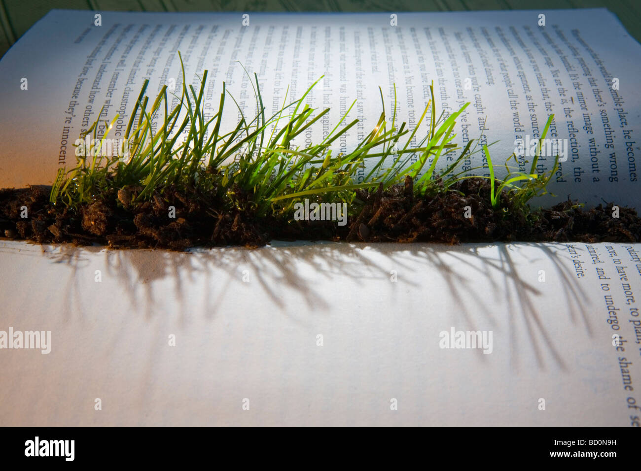 Grass sprouting from interior of book Stock Photo