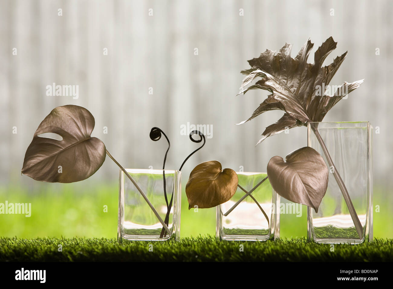 Silver and gold leaves in vases Stock Photo