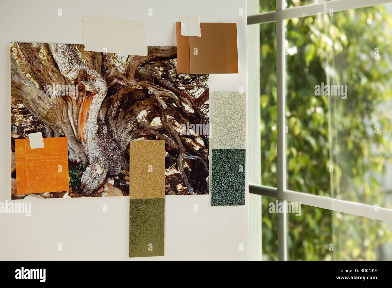 Paint swatches on wall by window Stock Photo Alamy