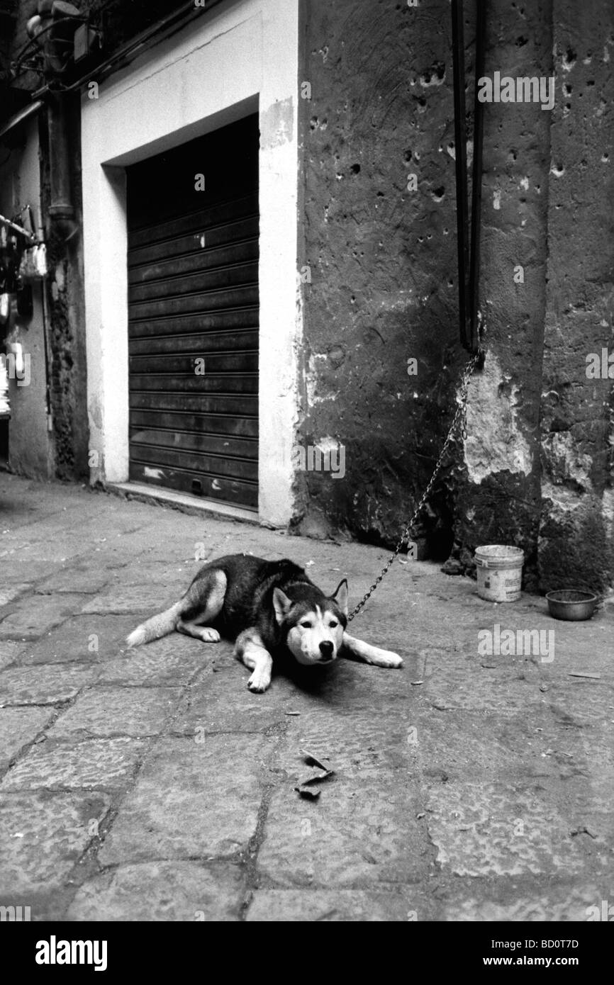 Historic centre of Palermo Italy Stock Photo Alamy