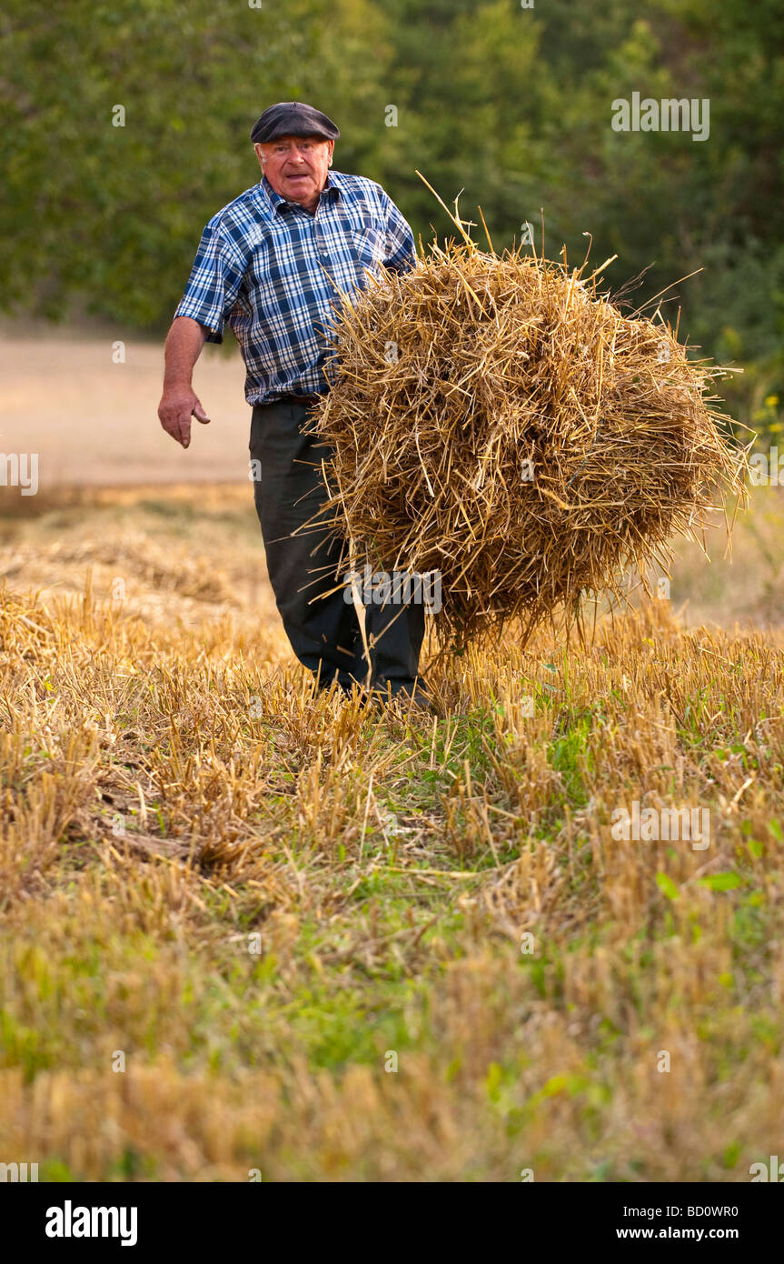 French peasant farmer hires stock photography and images Alamy