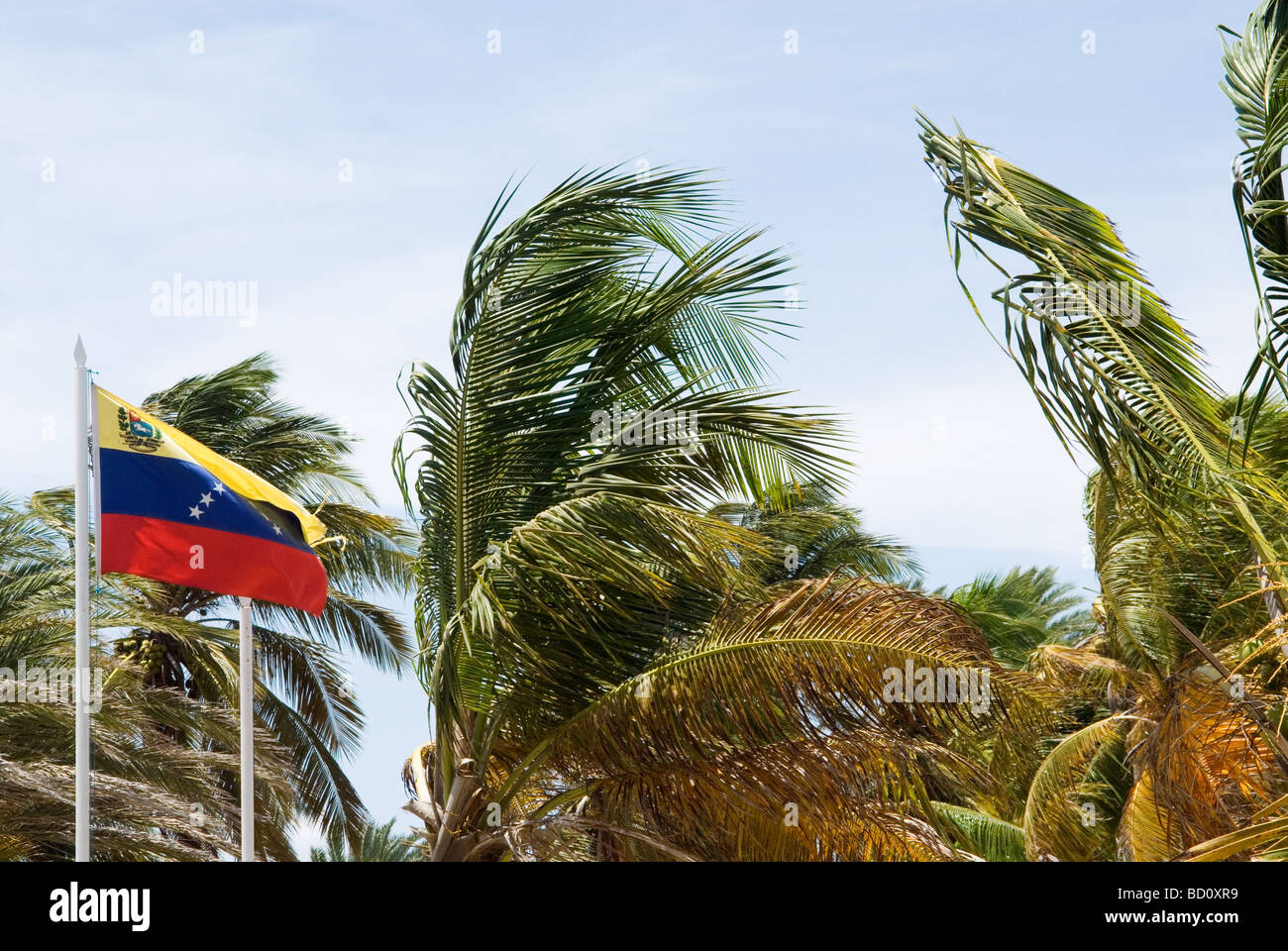 Palmtrees and flag of Venezuela on the island Isla de Coche, Venezuela. Stock Photo